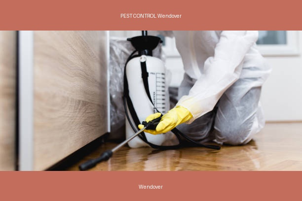 PEST CONTROL Wendover
